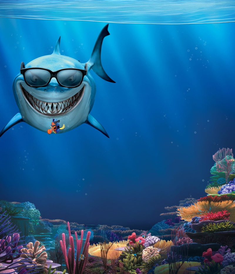 animal, saltwater fish, sea, marine, vertebrate, drama, sea life, finding, animal wildlife, tropical, swimming, ocean, no people, group of animals, outdoors