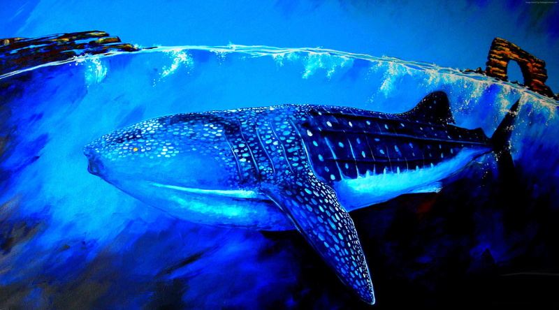 underwater, art, 4K, Whale Shark