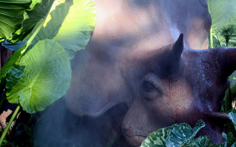 land, plant part, sunlight, animals In The Wild, animal, leaves, no people, animal themes, outdoors, day, young Animal, agriculture, growth, green color