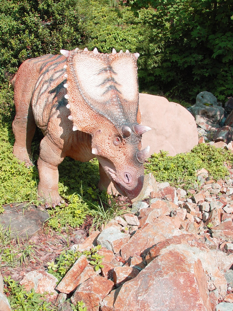 dino, sunlight, dinosaur, plant, day, rock - object, herbivorous, growth, field, mammal, triceratops, outdoors, standing, nature, animal, animals in the wild