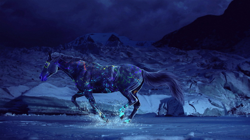 color, animal wildlife, scorpion, summer, animal, livestock, environment, winter, pets, sky, domestic animals, cold temperature, motion, snowcapped mountain