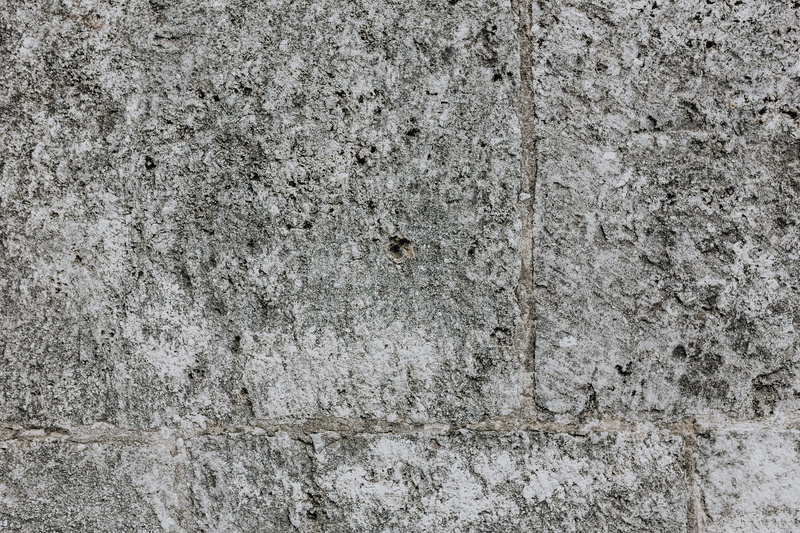 pavement, concrete, paving, old, 5K, pavements, day, animal, bricks, background, built structure, rough, backgrounds, outdoors, concrete wall, weathered