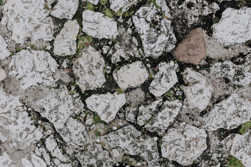 cement, rock, stone, bricks, lichen, nature, outdoors, close-up, textured, brick, old, paving, directly above, pavements, pattern, day, concrete, built structure