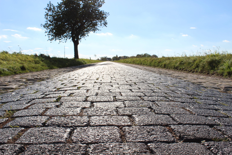 away, slag pavement, nature, road, scenics - nature, day, treelined, transportation, street, surface level, pavement surface, paving stones, ground, diminishing perspective