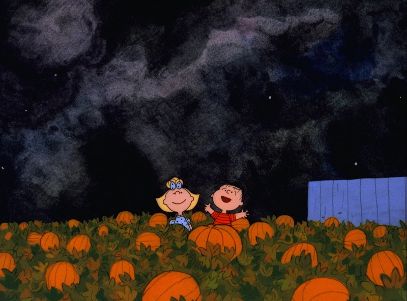 Charlie Brown, Its the Great Pumpkin, Sally Brown, Charlie Brown, Movie, 1080P, Pumpkin, Linus van Pelt