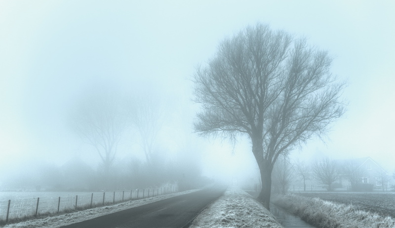 landscape photography, water vapor, cold, frost, weg, Dutch, hazy, green, morgens, Netherlands, winter, clouds, weather, Nederlands, nevel, road, landscape