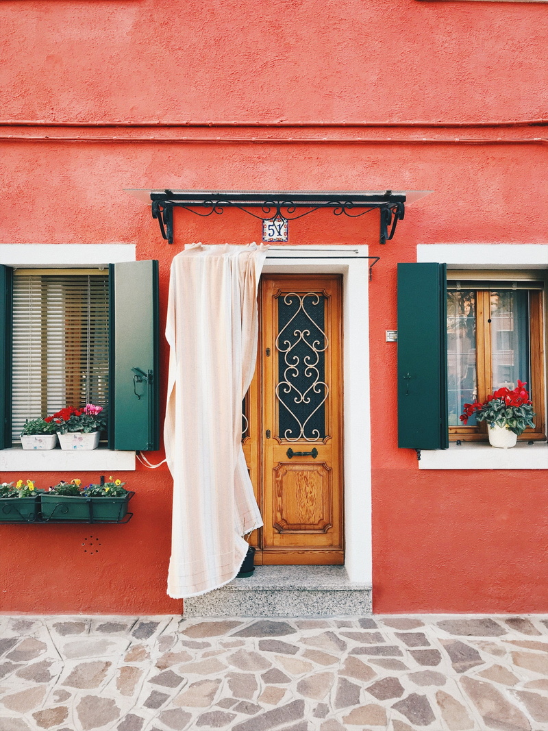 potted plant, orange color, white, brown, floral, flower, wall - building feature, colour, color, entrance, venice, potted, door, vase, window, built structure