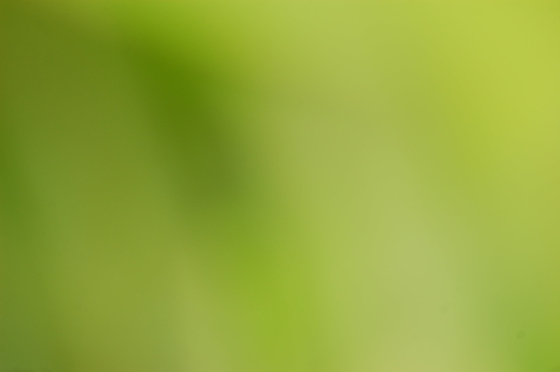 pattern, blurred motion, multi colored, background, close-up, light - natural phenomenon, motion, blurred, blank, nature, abstract, colour, blur, no people