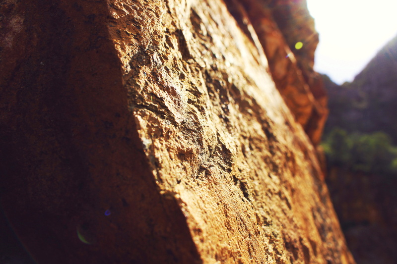 tree trunk, sky, focus on foreground, colours, mountains, trunk, hermanus, warm, colors, rough, day, texture, nature, outdoors, 5K, low angle view, reflect
