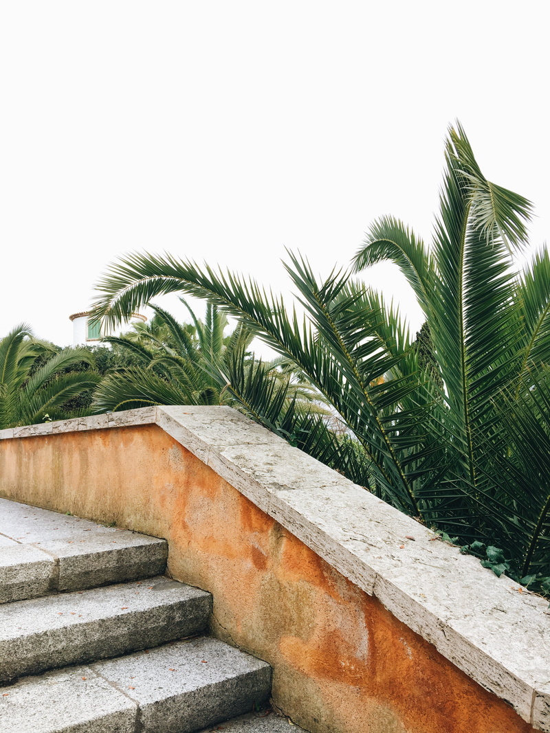 minimal, green color, colours, low angle view, no people, growth, pattern, sagaró, lines, built structure, staircase, details, clear sky, palm tree, tropical climate
