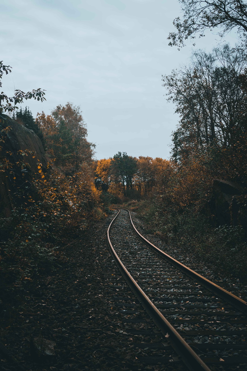 forest, transportation, orange, tree, train tracks, no people, autumn, growth, fall, railroad track, color, diminishing perspective, beauty in nature, empty