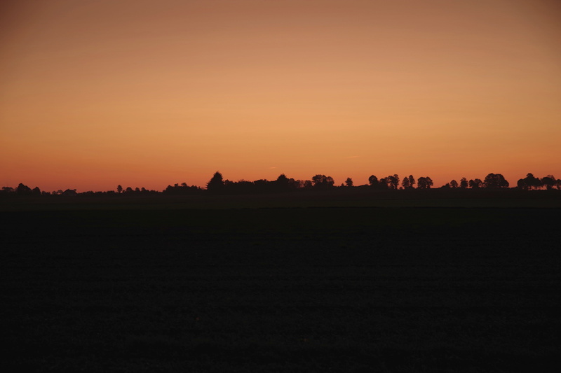 colour, black, orange, plant, navy blue, tranquility, morning, tranquil scene, idyllic, the silence, field, beauty in nature, view, orange color, the silhouette