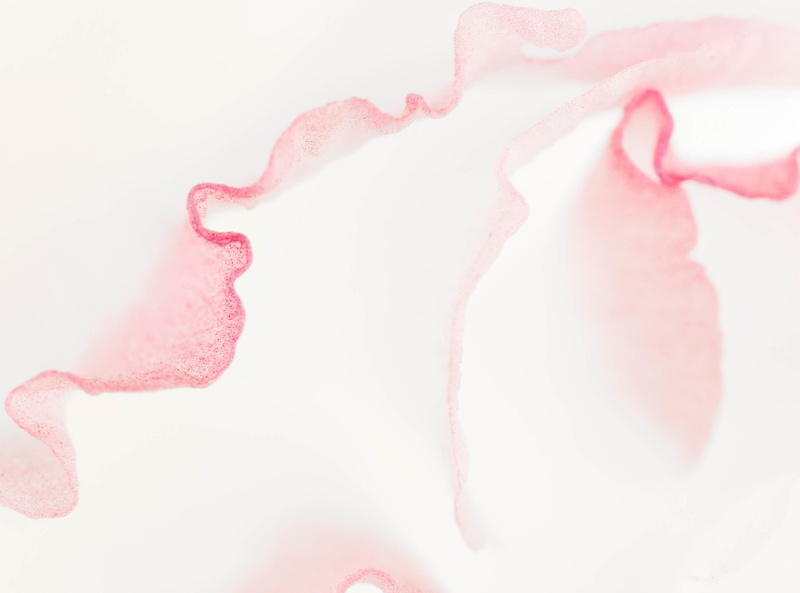 Aero, freshness, 2K, Abstract, plant, indoors, food, softness, extreme close-up, lightpink, White, drink, refreshment, lisianthus, nature, Petals, Flower