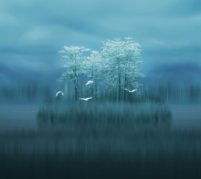 Lake, Blurred, Stock, Huawei Mate 10, 2K, Birds, Trees, HD