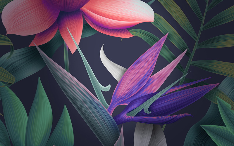 Stock, Huawei, Mate, 2K, Floral
