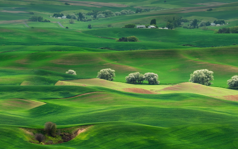 tranquility, activity, green color, day, tranquil scene, grassland, rolling landscape, beauty in nature, golf, environment, land, trees, non-urban scene