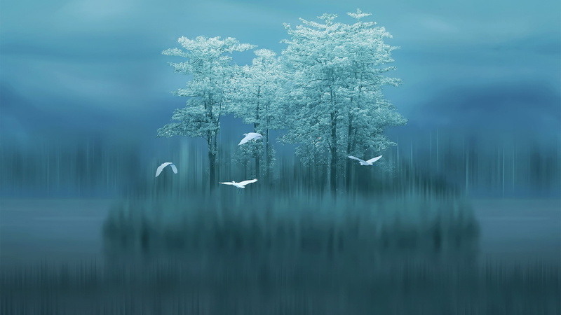 trees, Android 8.0, 2K, Huawei Mate 20