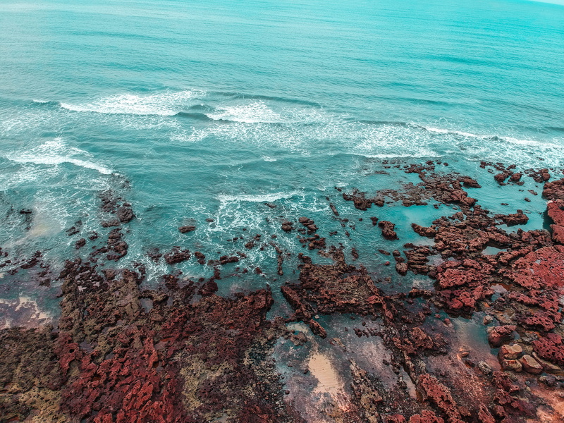 coast, mountain, water, wave, beauty in nature, tranquil scene, animal, shoreline, no people, ocean, sea life, reef, 2K, idyllic, nature, beira mar de fortaleza