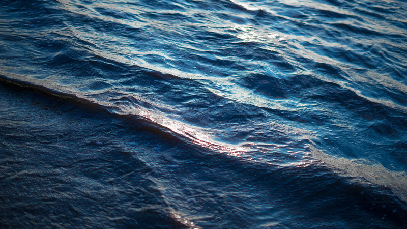 cormorant, full frame, blue, waterfront, wave, swimming, ocean, motion, beauty in nature, animal, day, scenics - nature, waterfowl, wave pattern, oil spill