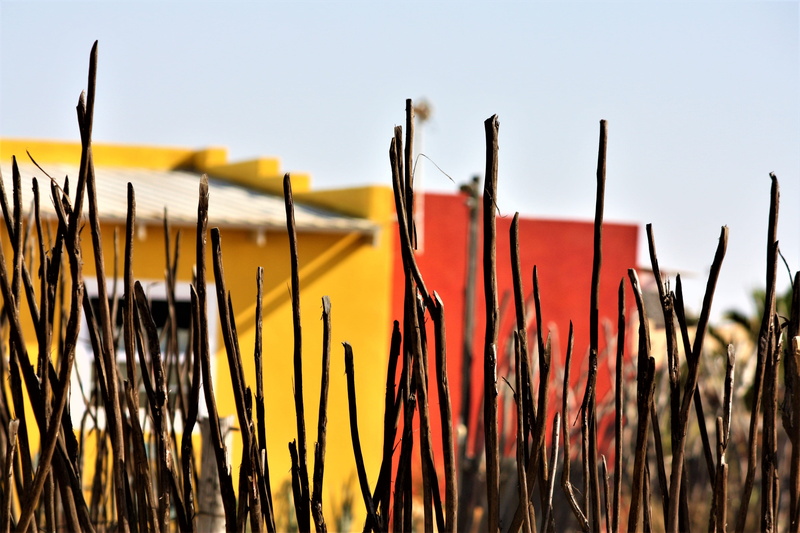 selective focus, colours, religion, growth, close-up, rural scene, colorful, lines, colores, plant, namibia, 4K, sticks, clear sky, colors, colourful