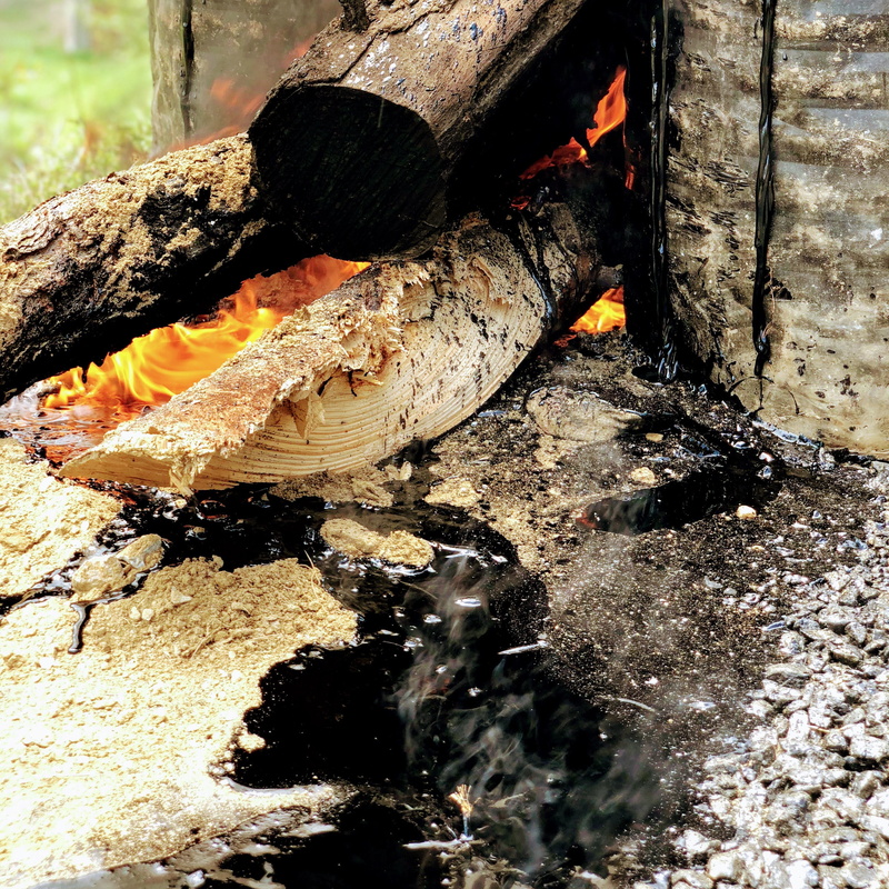 spill, near matena uttrakhand, ash, wood, 2K, bonfire, burning, fireplace, tar, earth, close-up, oil, outdoors, nature, bitumen, tree, burnt, firewood