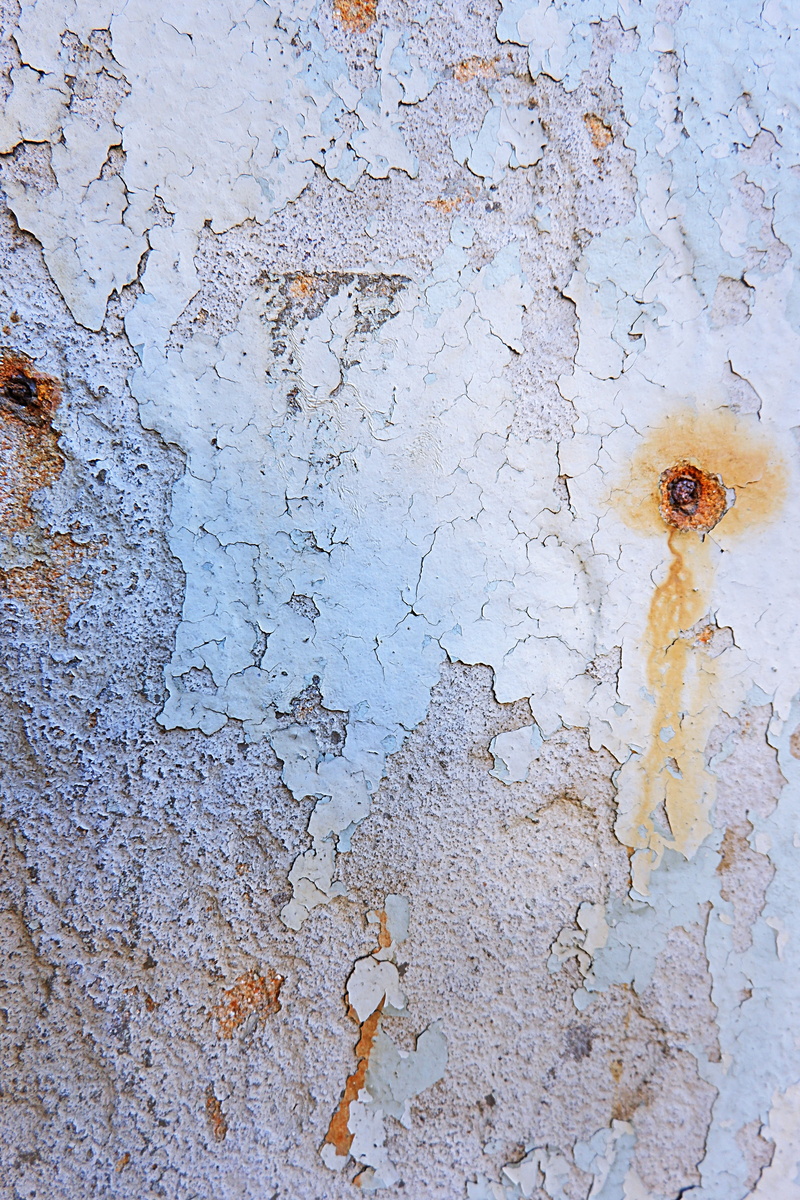mud, wall, stain, rusty, damaged, plant, peeled, paper, built structure, rough, window, wall - building feature, textured, close-up, deterioration, pollen