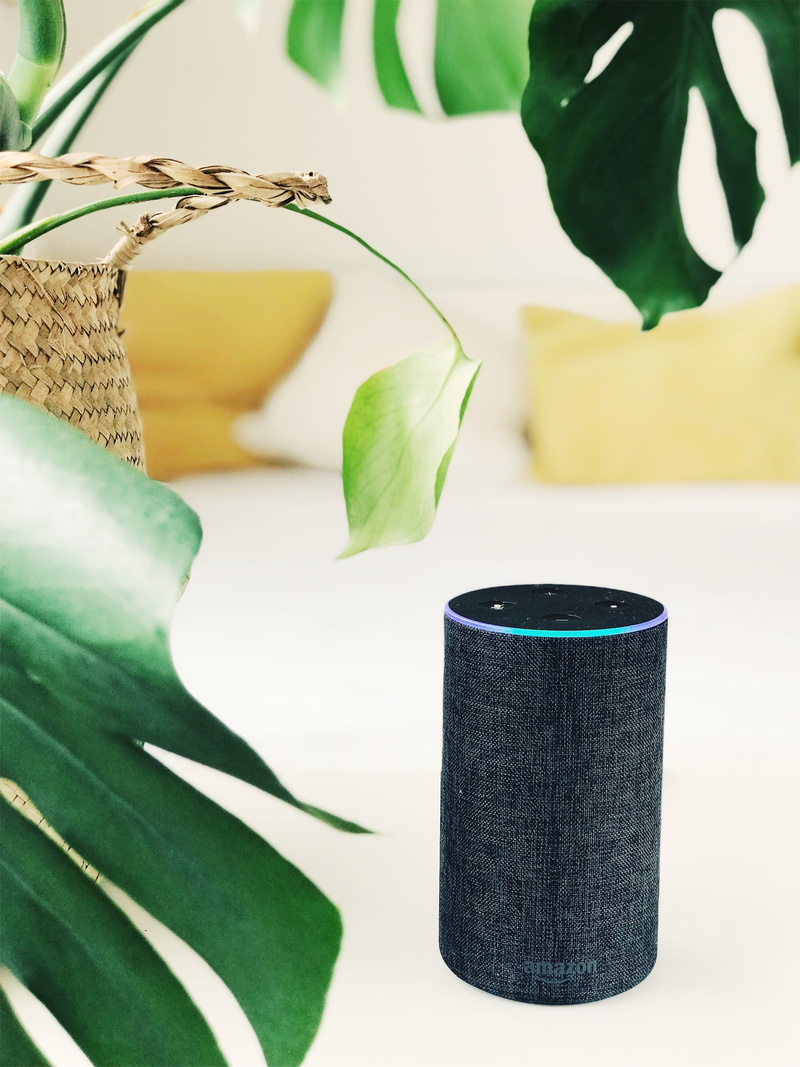 speaker, leaf, white, echo, 2K, amazon alexa, plant, green Color, close-up, amazon, fashion, nature, wood - Material, green, tree, gen, nd, craft, bokeh