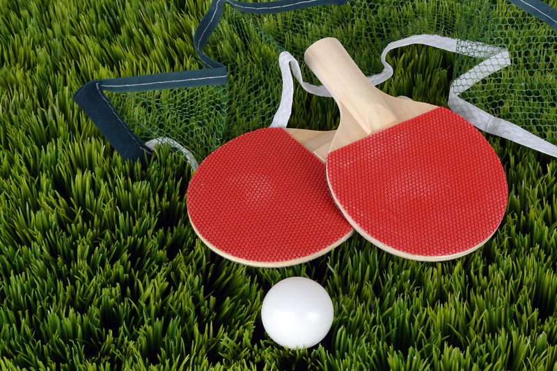 paddle, green, brown, bat, ball, rush, coupon, pong, recreational pursuit, nature, field, game device, directly above, 4K, table tennis, rackets, white