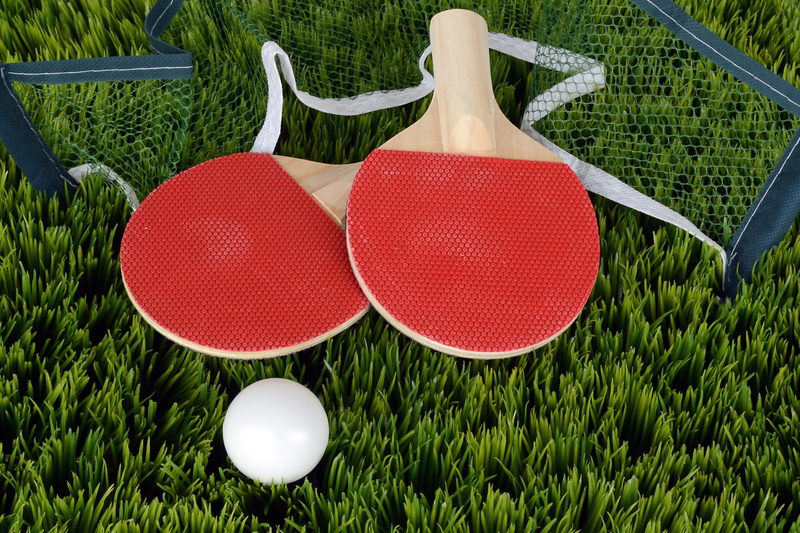 holiday, sport, green, no people, table tennis, day, grassfield, table tennis bat, red, rush, nature, coupon, 4K, equipment, white color, summer, plant