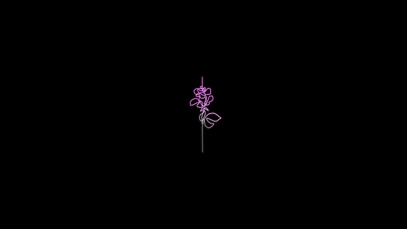 plants, neon, rose, line art, 1080P, simple, minimalism, simple background