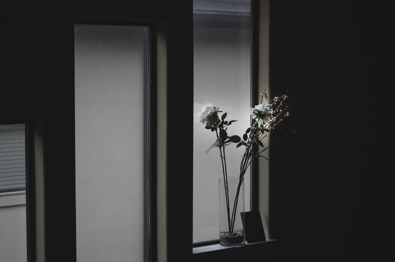flowers, home interior, flower, portrait, day, door, family, indoors, dark, flower head, decoration, still life, entrance, house, flora, glass, domestic room