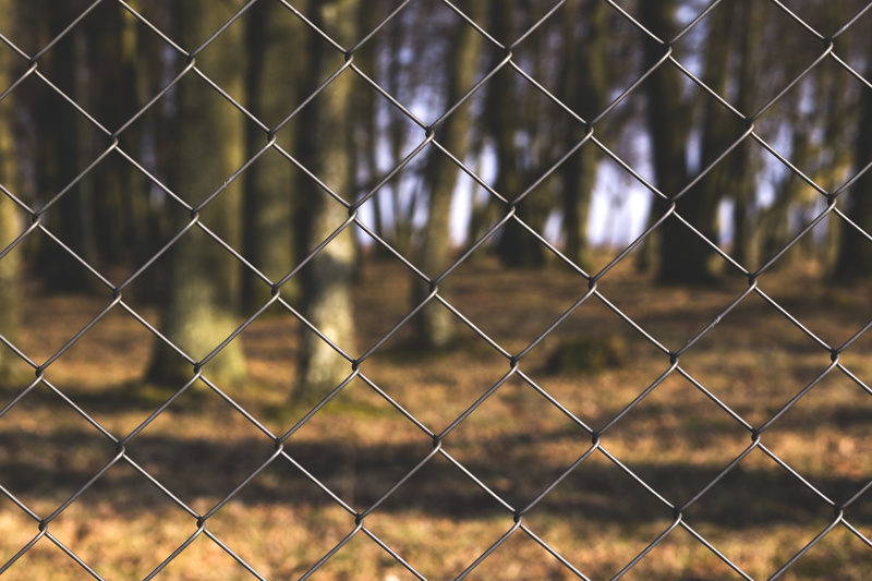 sport, full frame, safety, fence, protection, steel, focus on foreground, outdoors, cyclone, chainlink fence, backgrounds, detail, park, forest, stainless