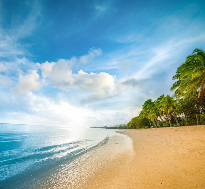 green, sand, vacation, sea, 720P, blue, water, beach, palm trees, clouds, landscape, white, nature