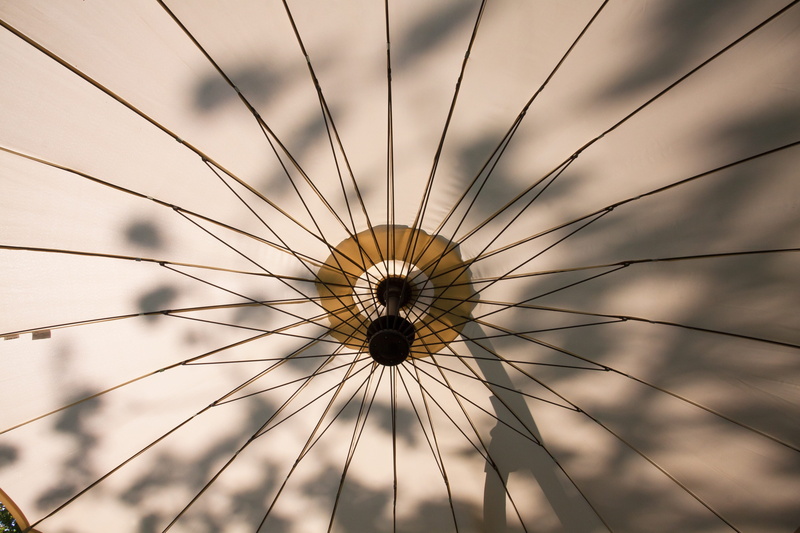 open, 4K, arts culture and entertainment, geometric shape, amusement park ride, leaves, sun, sunlight, architecture, shadow, circle, amusement park, sky
