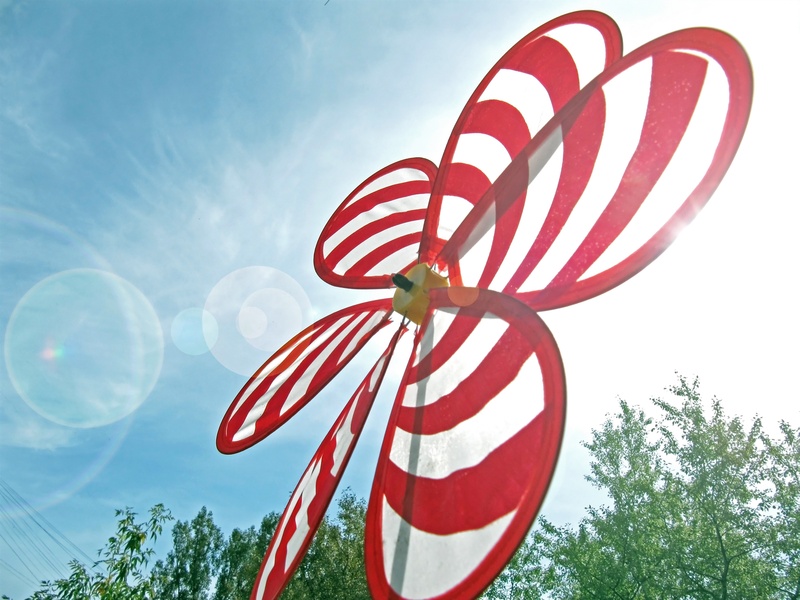 growth, spring, good fan, design, sun, close-up, rotation, wind driven, weather, effortless, sunshine, bright, close, simple, day, without people, lens flare