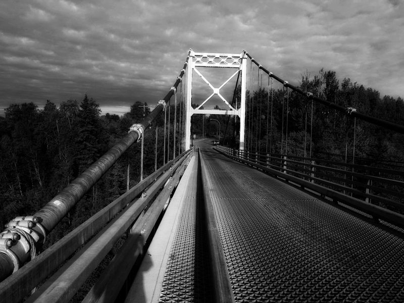 overpass, built structure, day, Road, travel, tree, direction, Bridge, route, nature, 2K, infrastructure, expressway, traffic, design, travel destinations