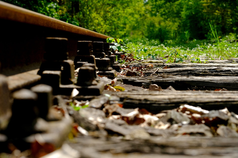 overgrown, deutsche bahn, railroad track, day, architecture, lonely, gravel, sunlight, rail, threshold, railroad ties, railroad tracks, landscape, wooden sleepers