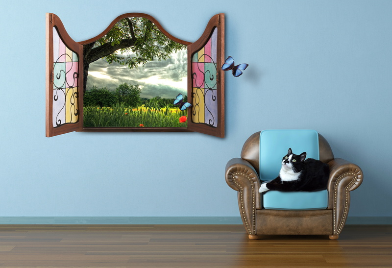 apartment, creativity, no People, picture frame, decoration, brown, armchair, flooring, plant, cat, domestic Room, sofa, one animal, chair, padded, butterfly