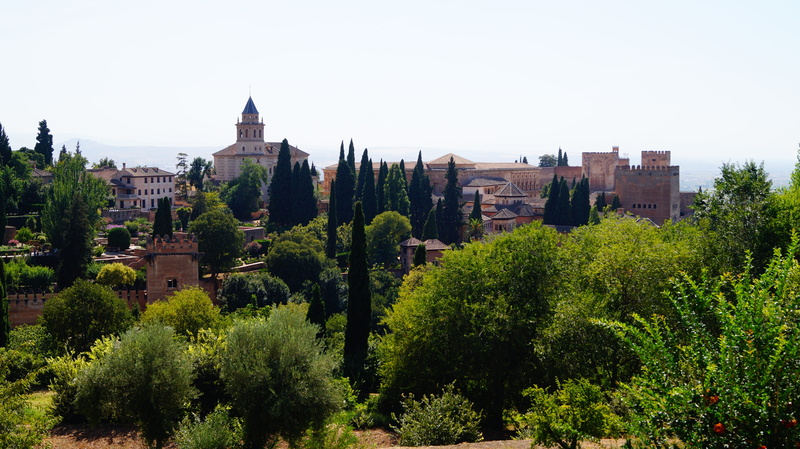 history, the past, alhambra, growth, building, andalusia, nature, palace, sunny day, spire, built structure, day, green color, place of worship, 5K, plant