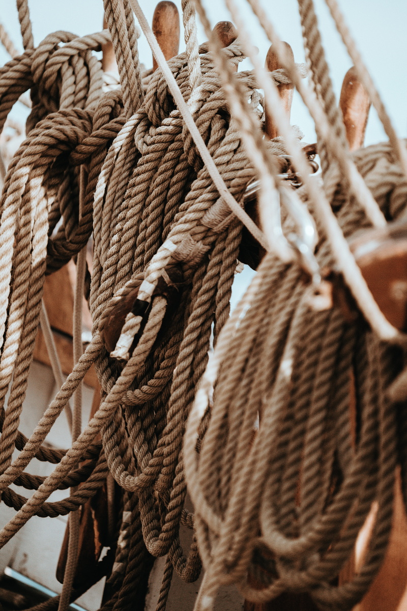 military, mammal, wildlife, building, wreath, string, pattern, coil, animal, window, tied up, close-up, nature, rack, textured, no people, bird, 5K, ropes