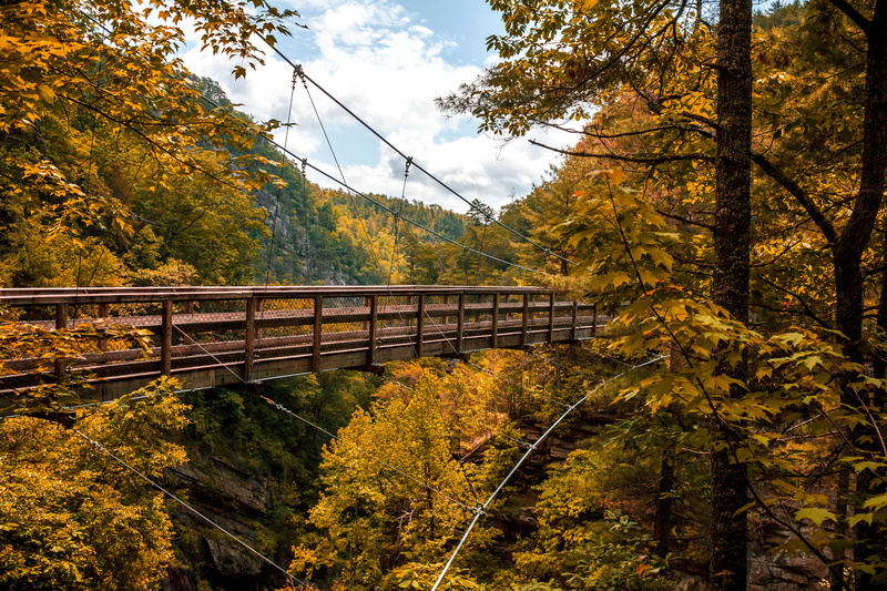 green, growth, tranquil scene, tree, cloud - sky, georgia, autumn collection, tallulah falls, autumn, nature, no people, land, canyon, plant, hiking, tranquility