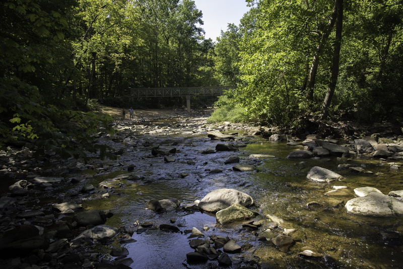 creek, reflection, public domain, gorge trail, summer, United States, water, growth, stream, beauty in nature, river, rock - Object, woodland, stream - flowing water