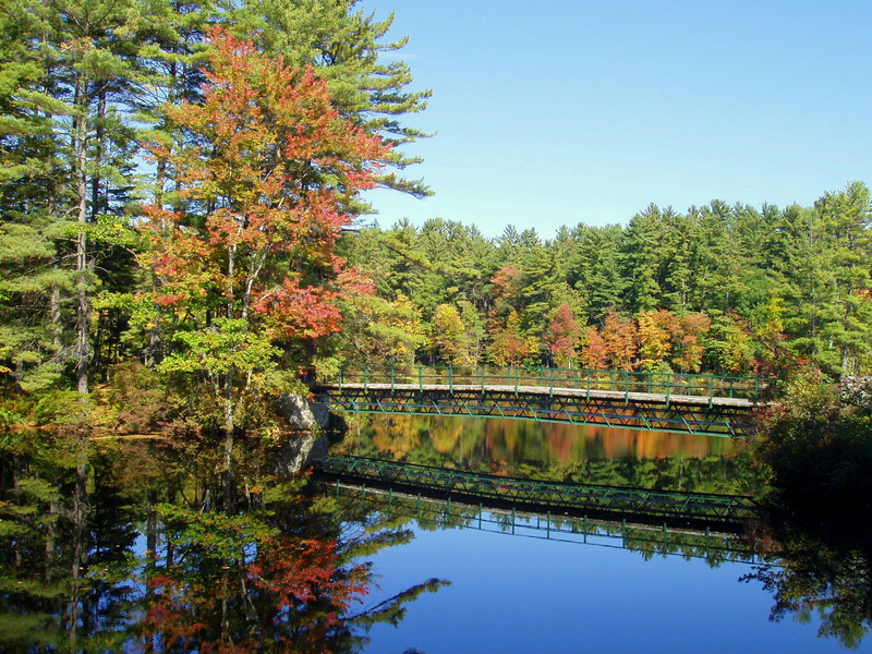 tranquil Scene, Bridge, leaf, reflection, autumn, New Hampshire, United States, park - Man Made Space, clear sky, tree, photos, waterfront, woodland, outdoors