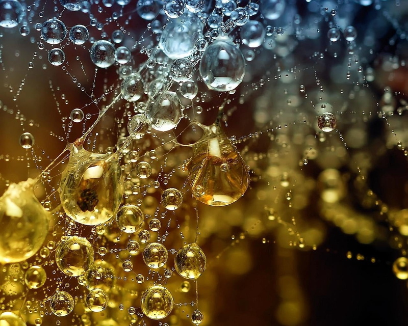 macro, pattern, bubble, close-up, beauty In Nature, liquid, splashing, rain, 720P, rainy season, vulnerability, balls, cobweb, fragility, focus on foreground