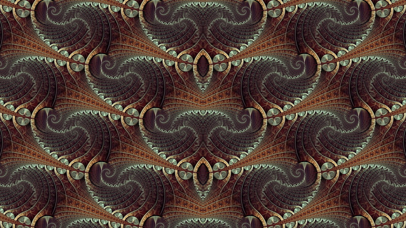 animal themes, marine, px, intricacy, complexity, art, digital, fractal, no people, backgrounds, animal wildlife, indoors, 1080P, invertebrate, hd, 1920x1080 px