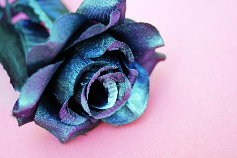 decoration, food and drink, studio shot, multicolor, celebration, artificial flowers, vegetable, pink background, food, colored background, blooming, petals