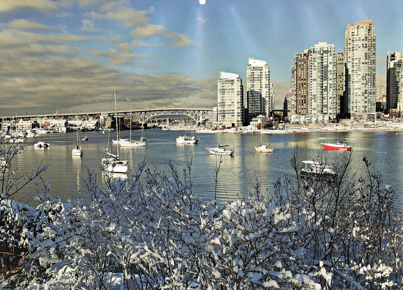 animals, scene, flowers, speedboat, cities, vancouver, streets, lot, 1080P, scenes, white