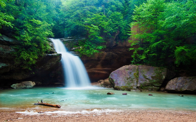 plant, turquoise colored, motion, blurred motion, waterfall, solid, tree, day, long exposure, power in nature, flowing water, nature, flowing, scenics - nature