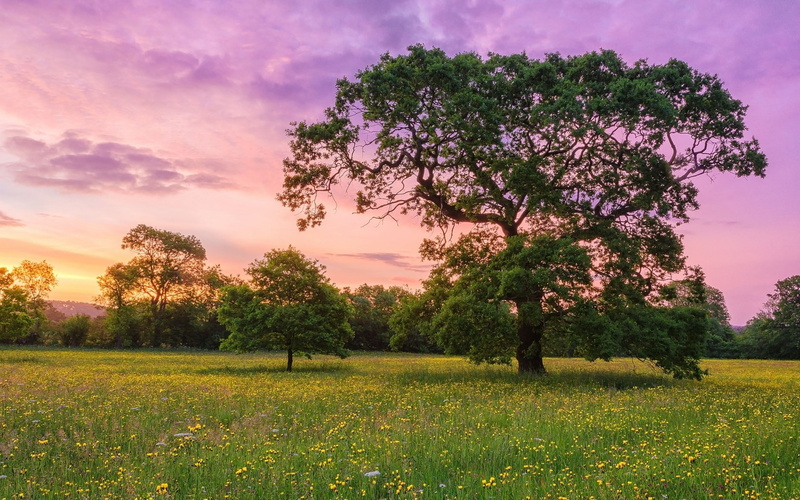 beautiful nature scenes images 1920x1200, 1080P