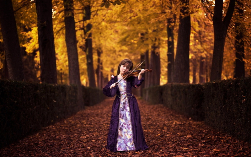 nature, plant, 1080P, musical instrument, music, forest, outdoors, fashion, land, women, violinist, woodland, one person, dress, adult, musician, hairstyle